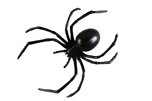 Fun World Black Widow Spider 6Inch