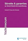 Sûretés et garanties au Grand-Duché de Luxembourg (LSB. VADE MECUM) by 