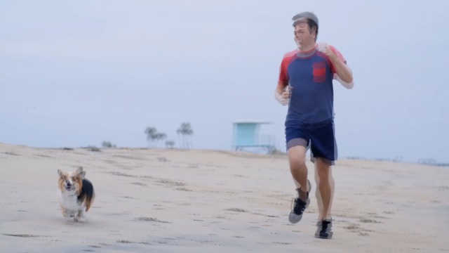 6 Dog+Training+Collar+Rechargeable+Waterproof