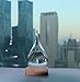 WELLDONE present Creative Stylish Desktop Drops Storm Glass Crafts Weather bottle Forecast Bottle Barometer(Mini-6 * 12)