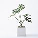 Sustee Aquameter Set of 2, Plant Moisture Sensor, (White, Large, Refillable)