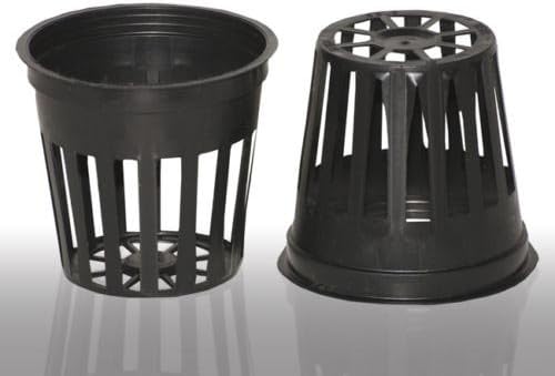 Pots For Plants Black Pots Plastic Pots For Plants Cuttings &amp; Seedlings 2"