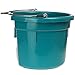 Little Giant® Flat Back Plastic Animal Feed Bucket | Animal Feed Bucket with Metal Handle | Horse Stall Feeding and Watering Supplies (Teal, 8 Quart)