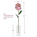 DEFAITH 24k Gold Dipped Rose with Crystal Heart Stand (Pink Original)