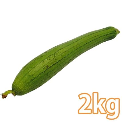 ベストヘチマ 野菜 最高の花の画像