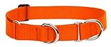 LupinePet Basics 1" Blaze Orange 15-22" Martingale