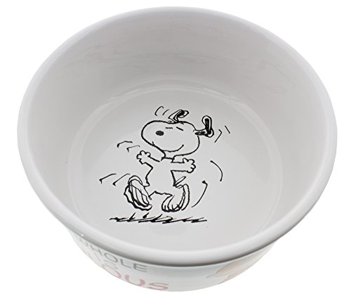 Snoopy Dog Bowl 7 Stoneware A Dog S Whole Life Is Ridiculous By Gibson Pricepulse