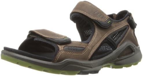 ecco biom terrain mens price
