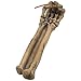 Bone Chilling Skeleton Arm and Hand Incense Stick Holder Display Stand Figurine for Scary Halloween Decorations or Medieval Art & Gothic Home Decor Aromatherapy Incense Burners As Spooky Fantasy Gifts