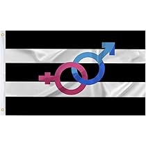 Amazoncom  BlackWhite Stripe Heterosexual Pride 3X5 Ft flag With  GrommetsStraight Ally Banner Sign For Indoor Outdoor Decoration  Patio  Lawn  Garden