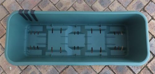 Amazon Co Jp 苗から育てる緑のカーテン栽培セット ナーベラー 食用ヘチマ ホーム キッチン