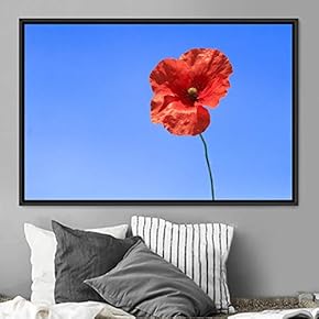 signwin Framed Canvas Wall Art Bright Flowers Closeup...