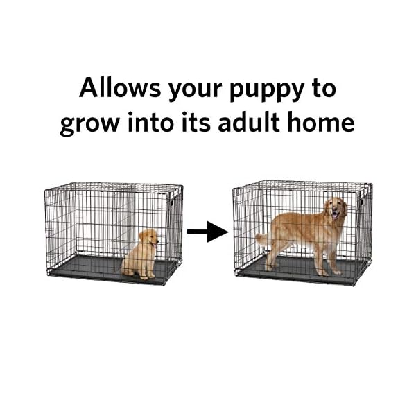 kennel divider