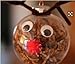 DECORA 30mm Round Wiggle Googly Eyes with Self-Adhesive Peel and Stick Pack of 240 Pieces