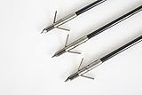 Three Fishing Arrows with Broadhead