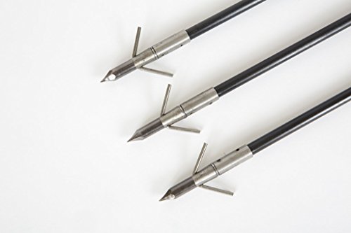 Three Fishing Arrows with Broadhead
