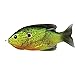 Fishing Tackle Lures Hollow Bait Top Florescent Pumpkinseed