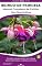Livro Brinco-de-princesa: 50 Dicas Práticas de Cultivo: Aprenda técnicas de plantio, rega, poda, adubação, controle de pragas e doenças, dicas para florescer ... (Flores em Casa – Série Dicas de Cultivo)