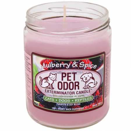 Pet Odor Exterminator Candle, Mulberry & Spice - Image 2