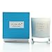 Scented Candle Glass Jar Soy Wax, 3pack, Sandalwood Ocean and Candy Love, Candle Gifts, CLEARANCE SALE