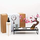 Japanese Zen Garden Meditation Gifts – Home
