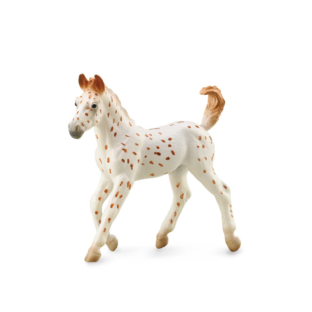 CollectA Knabstrupper Foal - Leopard Spotted