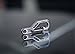 Python Clip - Stainless Steel Keychain Carabiner with Gate Guard