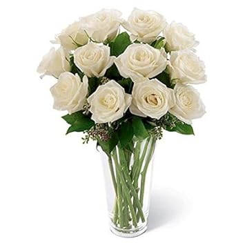 Florazone Calm N Beautiful Fresh Flowers White Roses in a Glass Vase