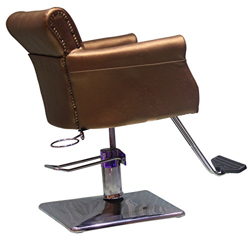 shengyu Classic Hydraulic Barber Chair Styling Salon Beauty