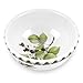 Portmeirion Pomona Individual Fruit Salad Bowl, set of 6, Multi