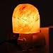 Salt Lamp,Salt Night Light,Natural Himalayan Salt Rock Lamps,Salt Wall Lamp Plug in,Mini Hand Carved Crystal Night Light,Used for Lighting,Decoration UL-Approved Plug