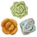Segreto Creative Refrigerator Magnet Simulated Succulent Plant Resin Fridge Magnet for House Office Kitchen Whiteboard,6 pcs