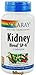 Solaray - Kidney Blend SP-6 Cornsilk - 100 Capsules