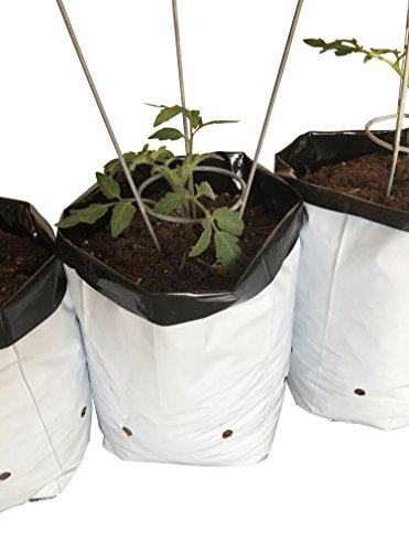 Small Plant Garden Starter Kit- Mini Wire Tomato Support Cage (5), 1-gallon Grow Bags (5) and Tiny White Hanging Plastic Identification Tags (5)-Container Patio Gardening Set