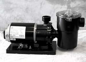 Amazon.com : 2 HP Above Ground Pool Pump Motor, High