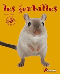 Les  gerbilles
