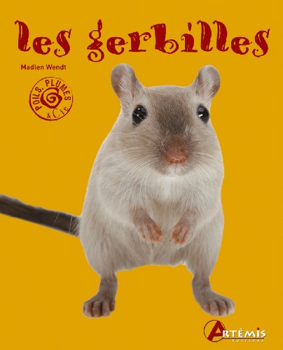 Les  gerbilles