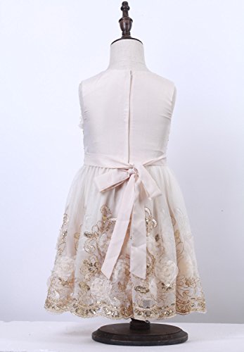 Ruffles Lace Bow Flower Tulle Princess Formal Wedding Birthday Party Dress for Toddler Baby Girl (5-6 Years, Champagne 3D)