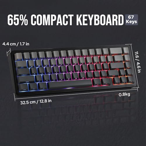 EPOMAKER x Aula F65 65% Wireless Mechanical Keyboard, Hot Swappable Gasket Custom Gaming Keyboard with Five-Layer Padding, RGB Backlit, Bluetooth/2.4GHz/USB-C (Black, Reaper Switch)