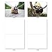 The Best Card Company - 10 Adorable Note Cards Blank (4 x 5.12 Inch) - Wildlife and Animal Cards, Assorted Boxed Kids Set - Capped Creatures M6470OCB