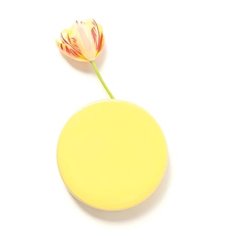 Buy Chive Unique Round Ceramic Flower Vase 6 Wall Mounted