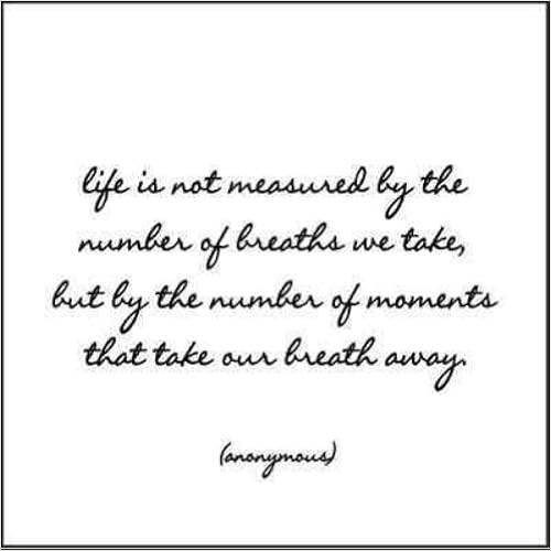 Life Is Not About The Breaths You Take Life Is Not Measured Journal: By The Number Of Breaths We Take, But By The  Number Of Moments That Take Our Breath Away: Anonymous: 9781590352250:  Amazon.com: Books