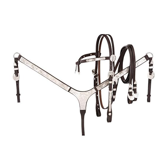 Royal-King-Futurity-Headstall-Western-Show-Set-Hor