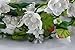 Dreamlily Women's Flower Festival Wedding Hair Wreath BOHO Floral Headband BC09(White)
