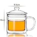 Home tea(TM) double wall glass cup coffee mug with lid with handle 350ml