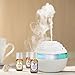 Healing Solutions Love & Passion Set 100% Pure, Best Therapeutic Grade Essential Oil Kit - 6/10mL (Adoration, Aphrodisiac, Lavender, Love, Rose, and Sensation)