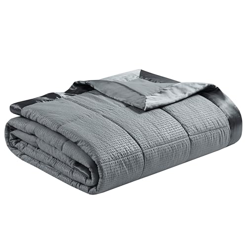 Madison Park Down Alternative Blanket Hypoallergenic 3M Scotchgard Stain Resistant Bedroom Bedding, Oversized Full/Queen, Cambria Charcoal