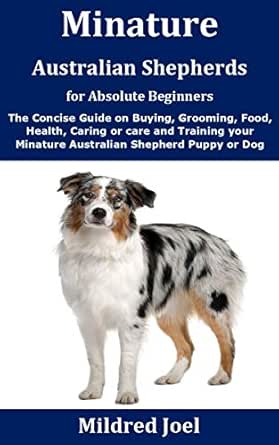 buy australian shepherd puppies