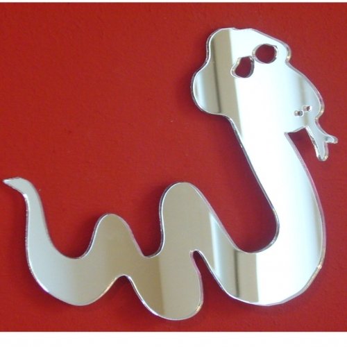 Super Cool Creations Snake Mirror - 60cm x 46cm