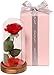 Nalosun Beauty and The Beast Rose Enchanted Red Silk Rose with Fallen Petals in Glass Dome on a Wooden Base Best Gift for Her,Mothers Day Valentine's Day Wedding Anniversary (A:Red Silk Rose)